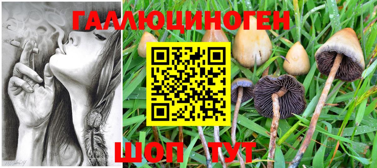 Псилоцибиновые грибы Psilocybine cubensis  Вход с VPN  Тимашёвск  Псилоцибиновые грибы GOLDEN TEACHER 